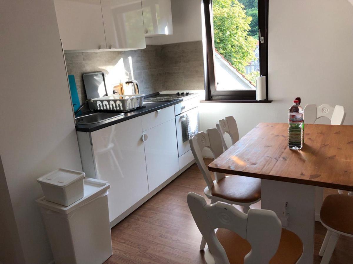 Ferienhaus Art Apartment - Harz Zorge Luaran gambar