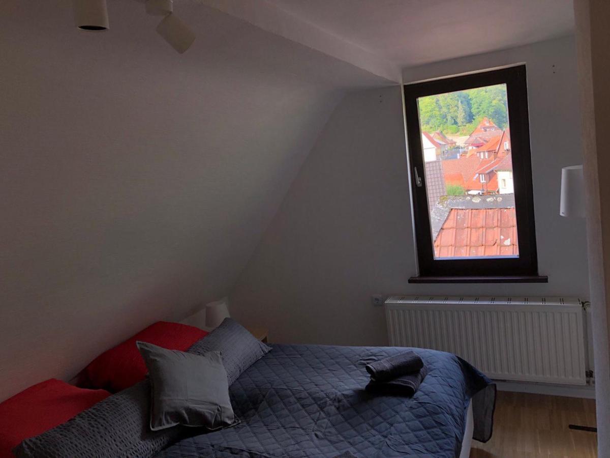 Ferienhaus Art Apartment - Harz Zorge Luaran gambar