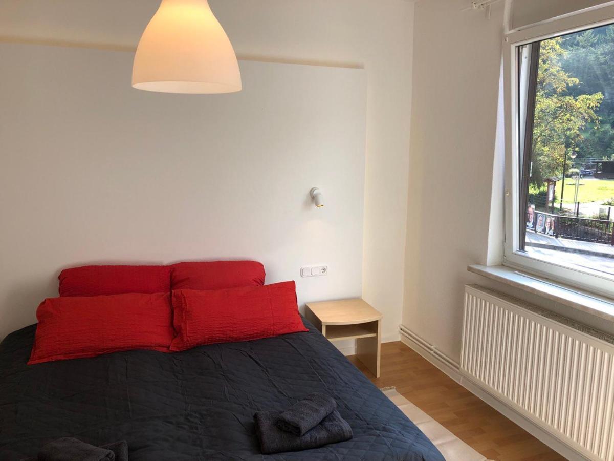Ferienhaus Art Apartment - Harz Zorge Luaran gambar