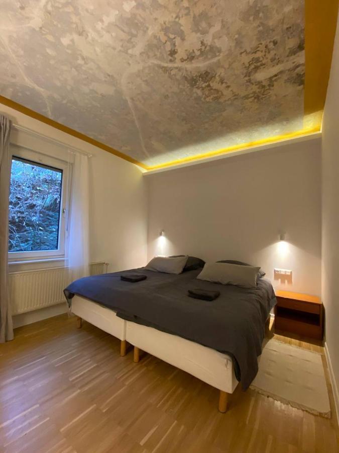 Ferienhaus Art Apartment - Harz Zorge Luaran gambar