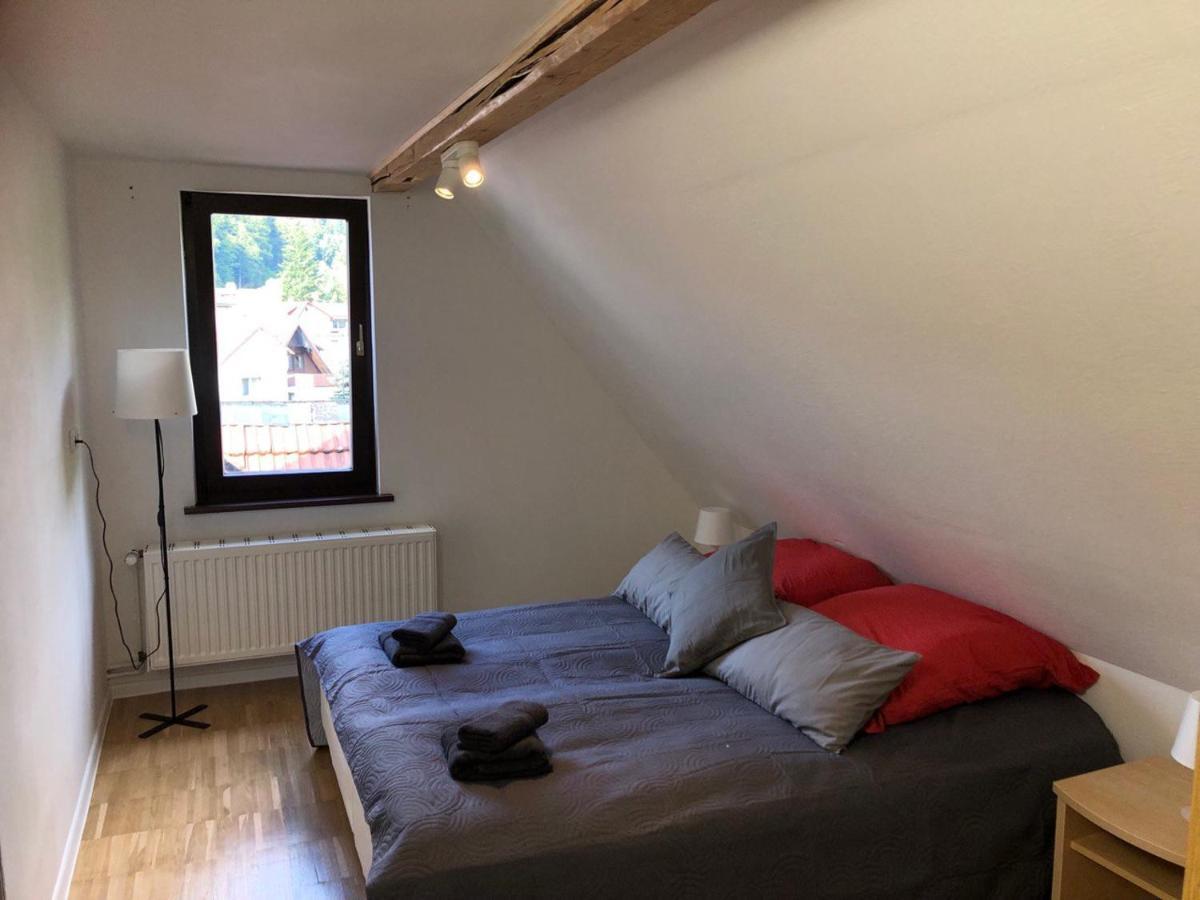 Ferienhaus Art Apartment - Harz Zorge Luaran gambar
