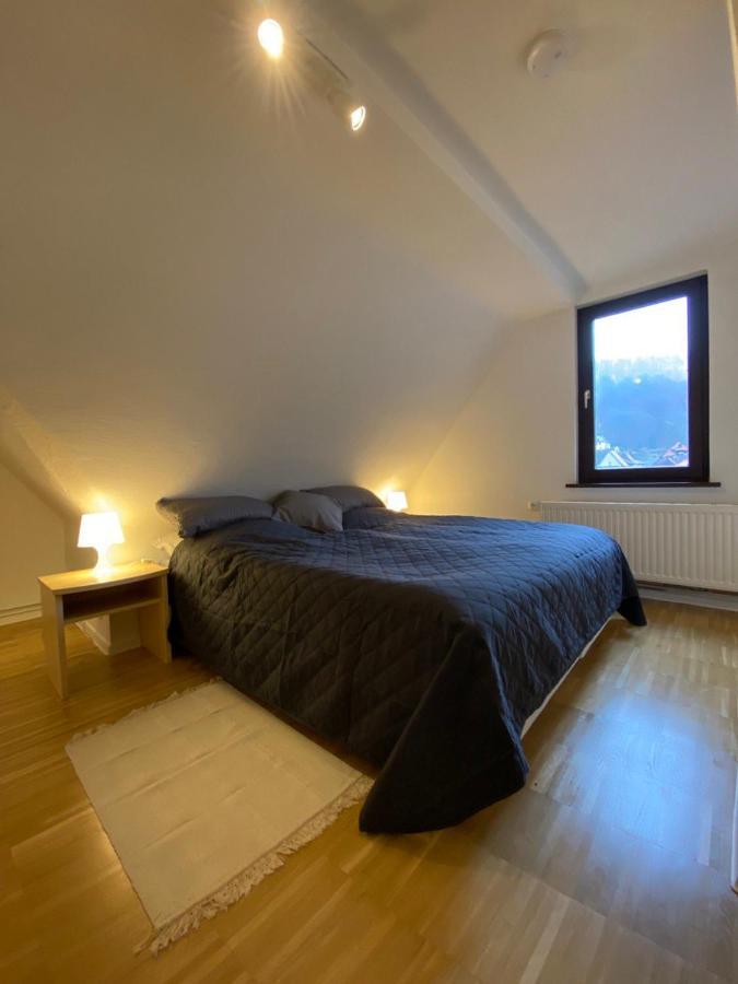 Ferienhaus Art Apartment - Harz Zorge Luaran gambar
