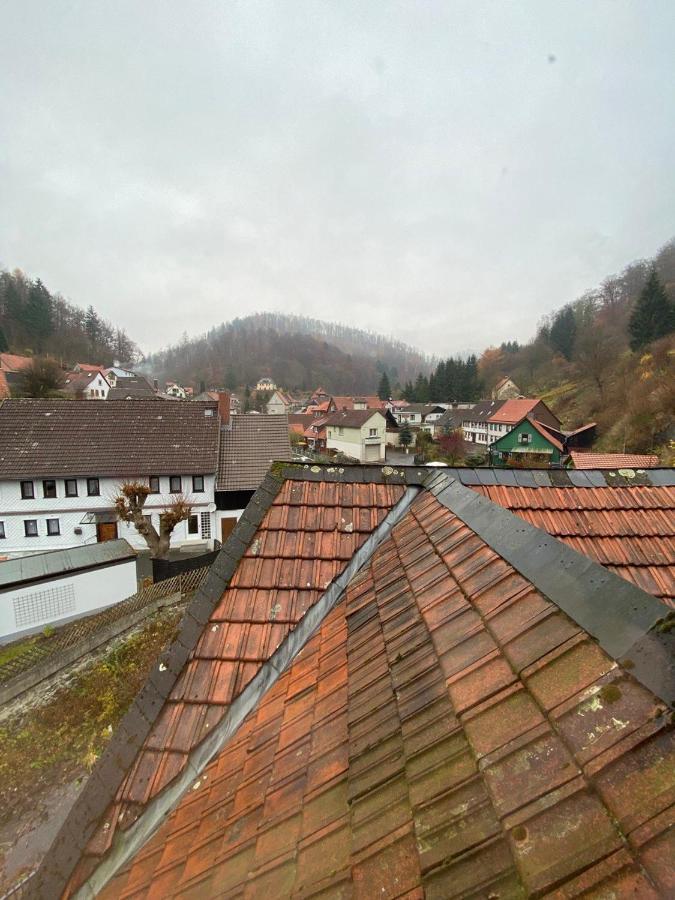Ferienhaus Art Apartment - Harz Zorge Luaran gambar