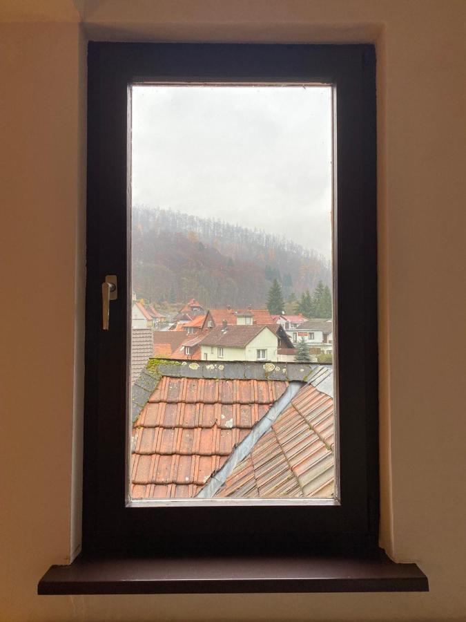 Ferienhaus Art Apartment - Harz Zorge Luaran gambar