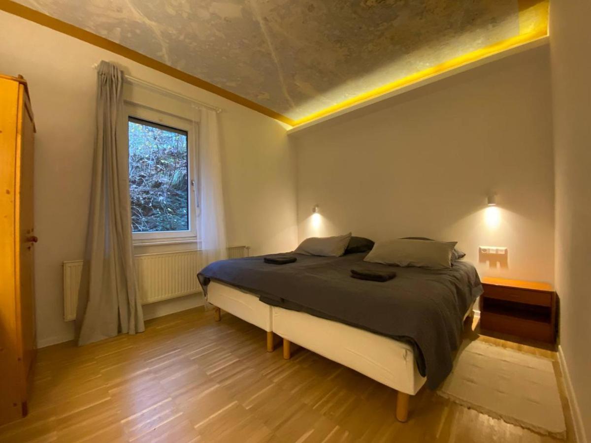 Ferienhaus Art Apartment - Harz Zorge Luaran gambar