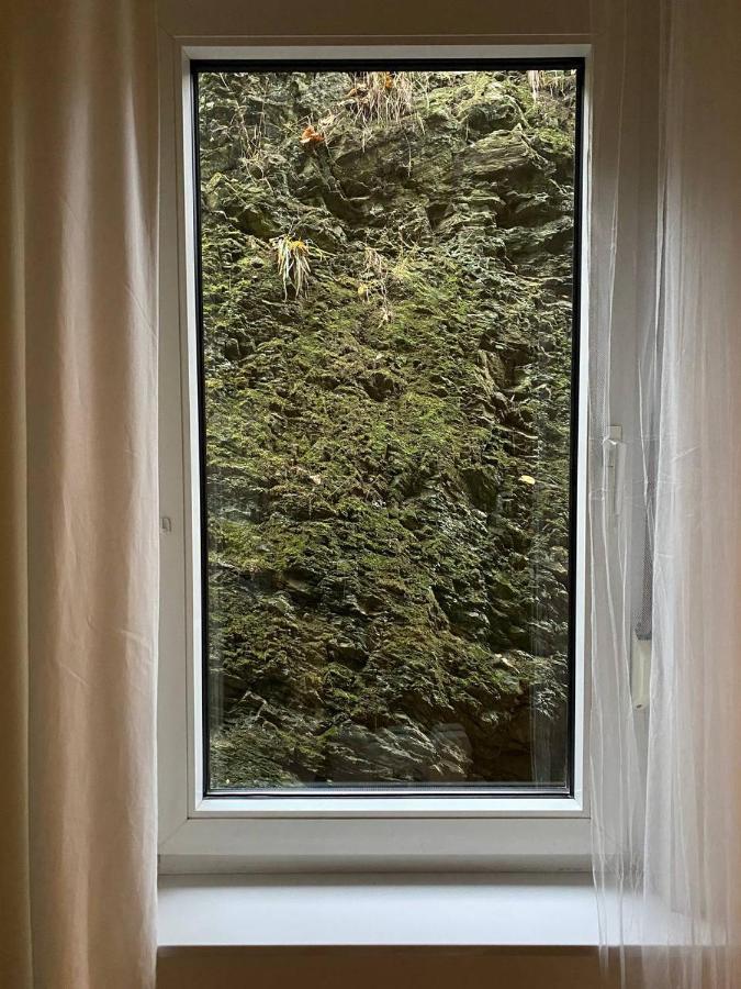 Ferienhaus Art Apartment - Harz Zorge Luaran gambar